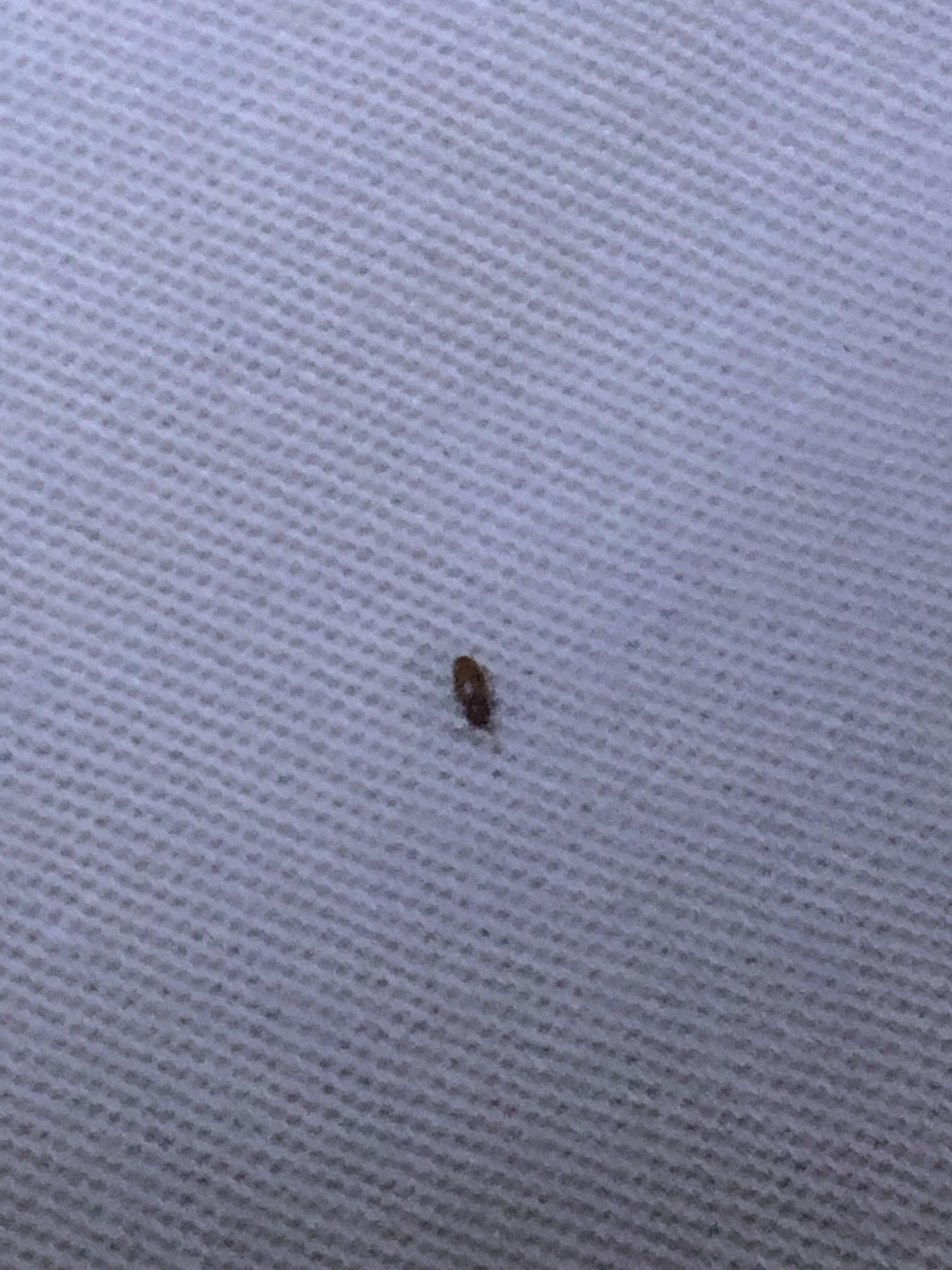 第332页