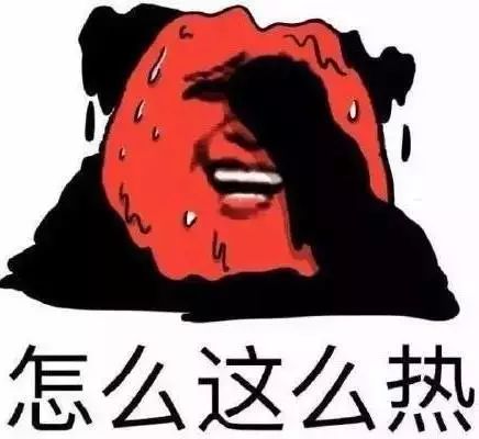 第256页