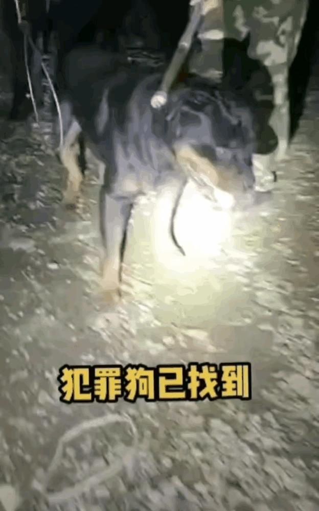 第253页